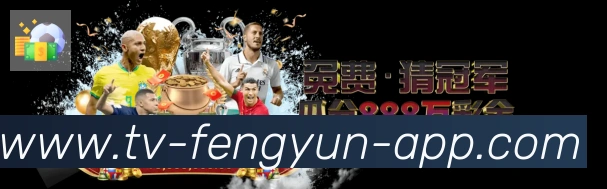 未来规划